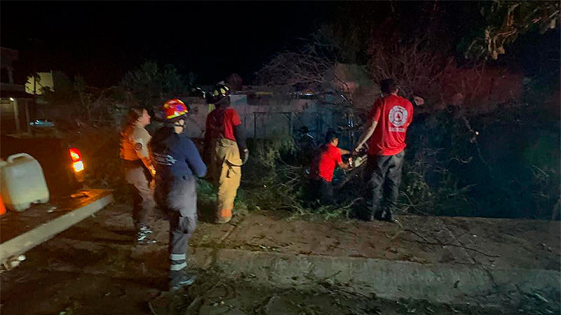Fallece vendedor de elotes tras caída de árbol durante tormenta en Xalisco, Nayarit 