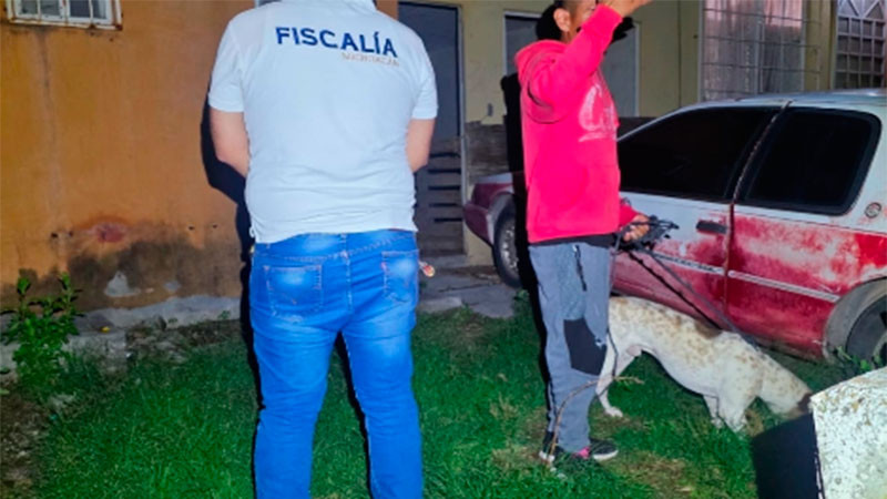 FGE de Michoacán rescata a perro que era víctima de maltrato animal en el municipio de Numarán  