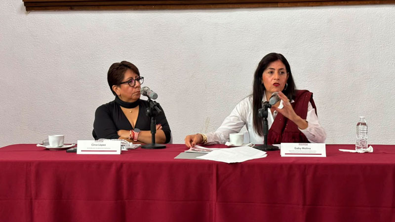 Gaby Molina asegura austeridad de su parte en proceso interno de Morena 