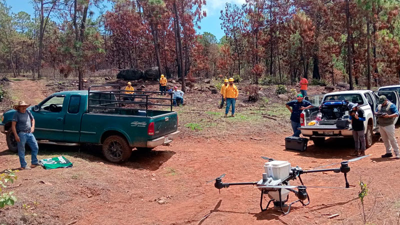 Drones reforestan las zonas más inaccesibles de Michoacán con programa Bio Renace 
