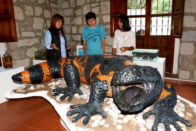 Museo de Historia Natural “Manuel Martínez Solórzano” de Morelia realizará curso de verano - Foto 0 