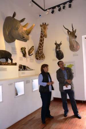 Museo de Historia Natural “Manuel Martínez Solórzano” de Morelia realizará curso de verano - Foto 1 