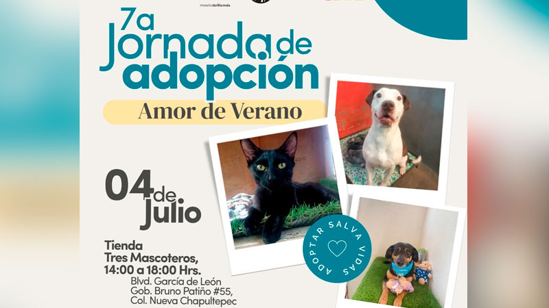 IMPA invita a la Séptima Jornada de Adopción; 18 lomitos esperan un hogar 