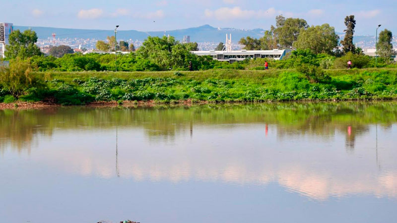 Bordos regulan 20 mil metros cúbicos de agua tras lluvias de anoche: Pio Salgado  