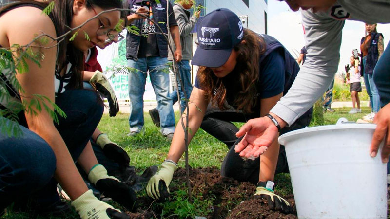 Realizan jornada de reforestación en BLOQUE 