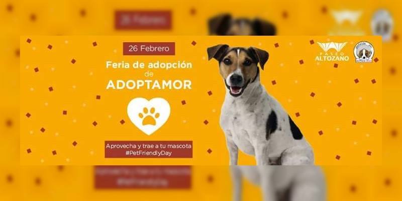 Este domingo la asociación animalista Adoptamor realizará una Feria de Adopción de mascotas 