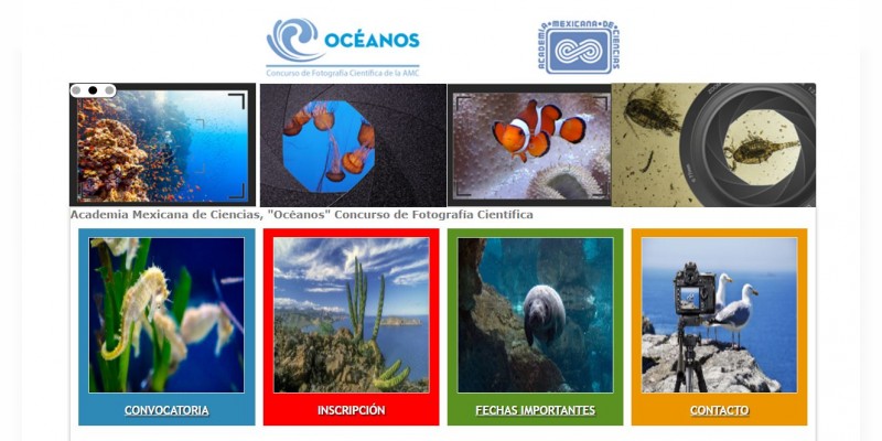 Nicolaitas de nivel superior podrán participar en Concurso de Fotografía Científica 
