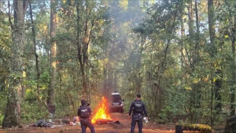 Desmantela Guardia Civil tres campamentos criminales en la sierra de Salvador Escalante, Michoacán  