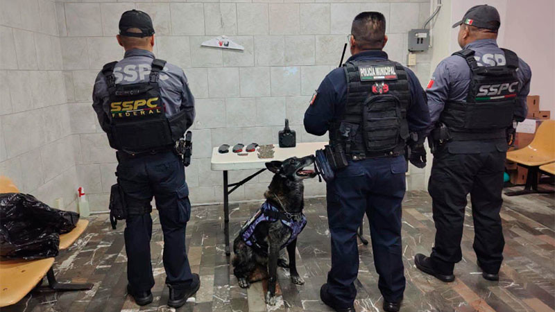 Localizan abandonados cargadores y cartuchos para rifle de asalto en la terminal de autobuses de Uruapan, Michoacán  