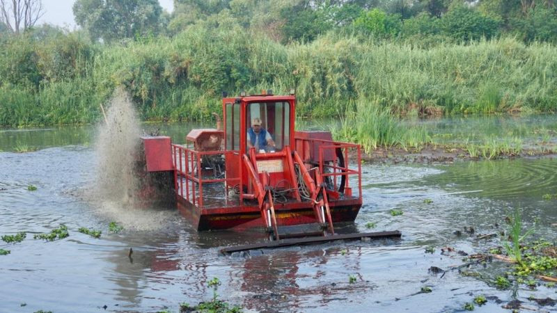 Concluye rehabilitación del canal de Erongarícuaro; recupera más de 3.5 kilómetros de navegación 