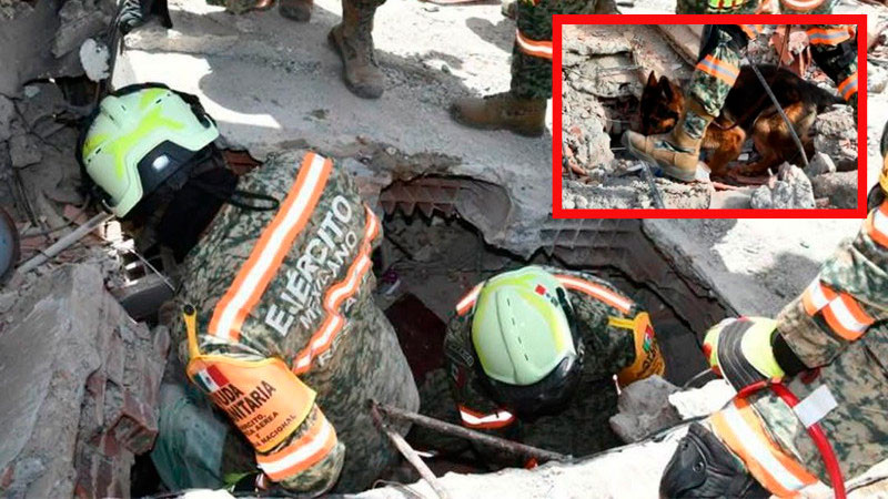 Rescatistas mexicanos reciben la presea "Héroes de Venezuela" por su labor tras el doble sismo 
