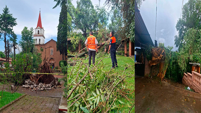 Lluvias y fuertes vientos dejan árboles caídos y varias afectaciones en Huiramba, Michoacán 