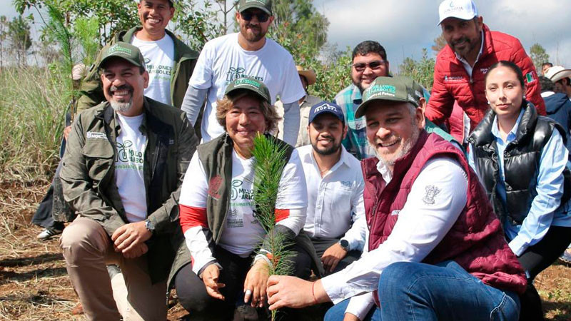 Sumarán 6 millones de árboles al rescate del lago de Pátzcuaro: Bedolla 