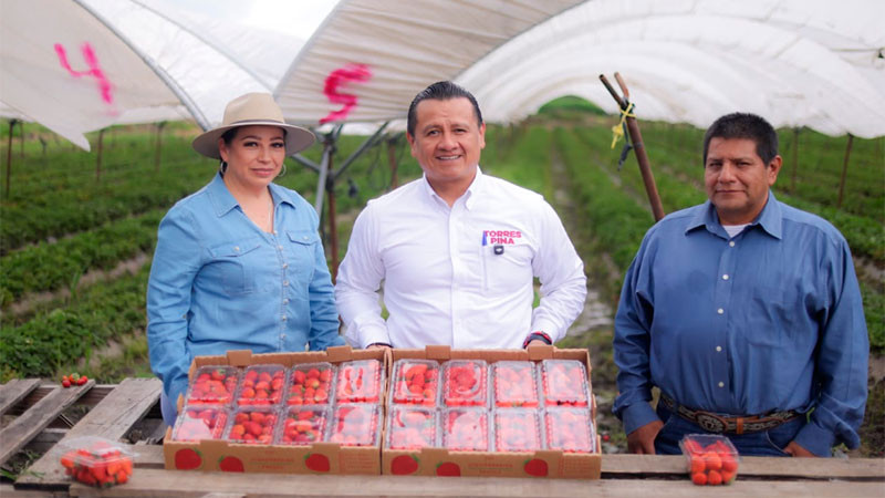Entre fresas y sillas, Torres Piña recorre Maravatío para escuchar y reconocer su fuerza productiva  