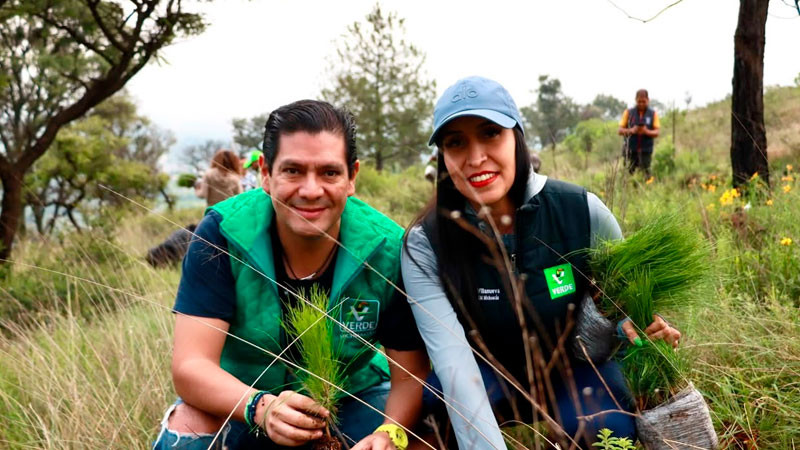 PVEM Michoacán planta 5 mil pinos y avanza hacia la meta de 20 mil árboles en el estado 