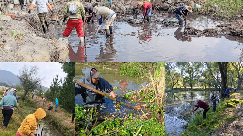 Con obras de conservación, Programa de Empleo Temporal blinda al lago de Pátzcuaro 