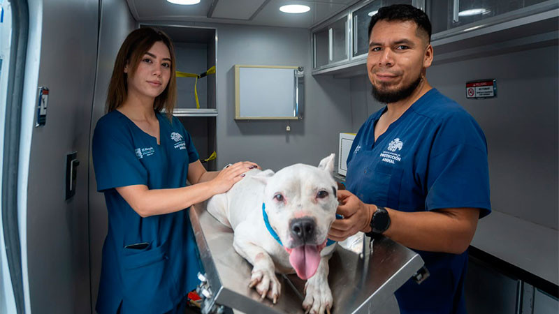 El Marqués, referente estatal en servicios veterinarios gratuitos 
