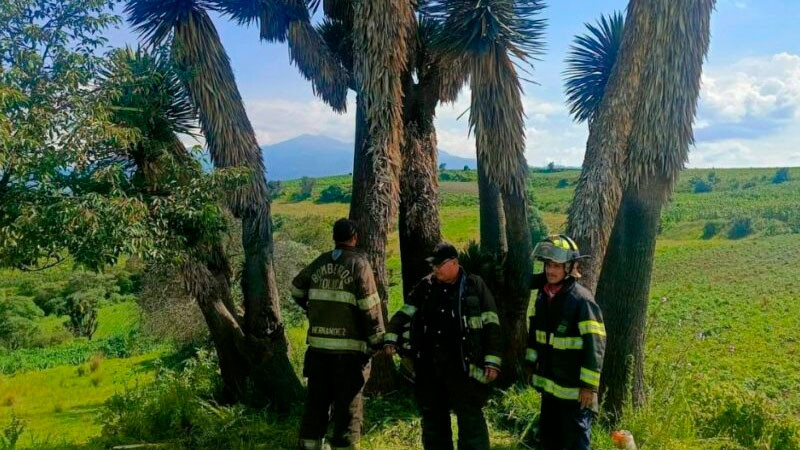 Caída de rayo deja a 7 personas heridas en Toluca 