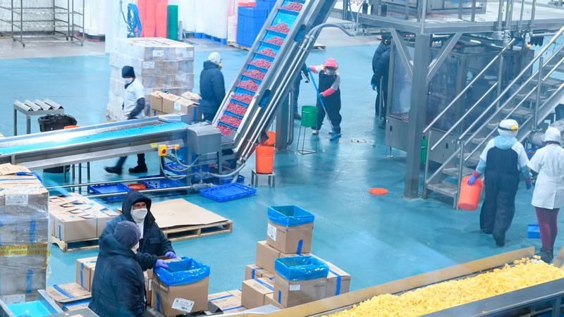 Minería y manufactura impulsan la actividad industrial de Michoacán 