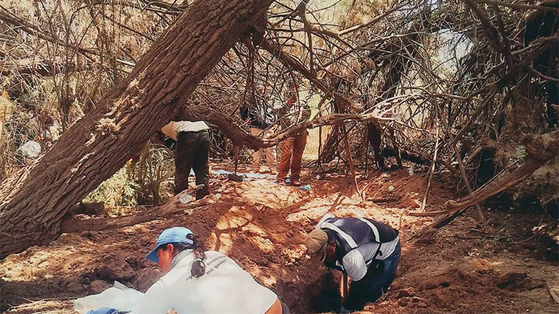 Tras más de cuatro años de búsqueda, una madre encontró a su hijo en una fosa clandestina de Sonora 
