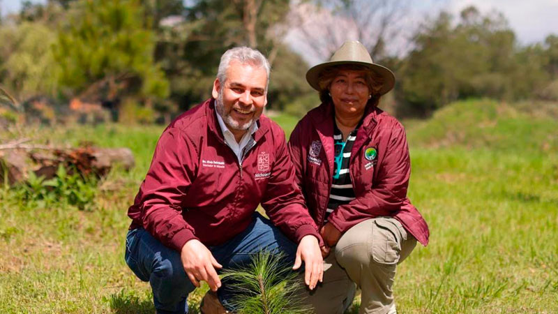 Estrategia ambiental de Michoacán sumará histórico de 50 millones de árboles reforestados: Bedolla 