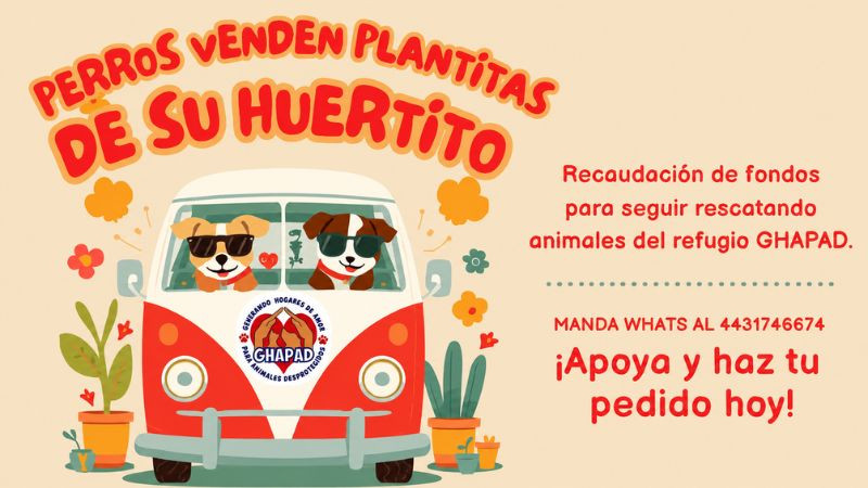 GHAPAD anuncia venta de plantas para recaudar fondos y alimentar a perritos 