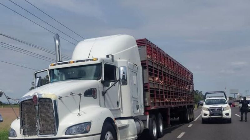 Guanajuato: Intento de robo a tráiler desata balacera en la carretera Panamericana 