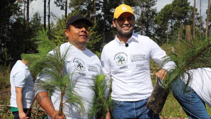 Por la grandeza de Michoacán, sembremos las semillas del futuro: Octavio Ocampo 