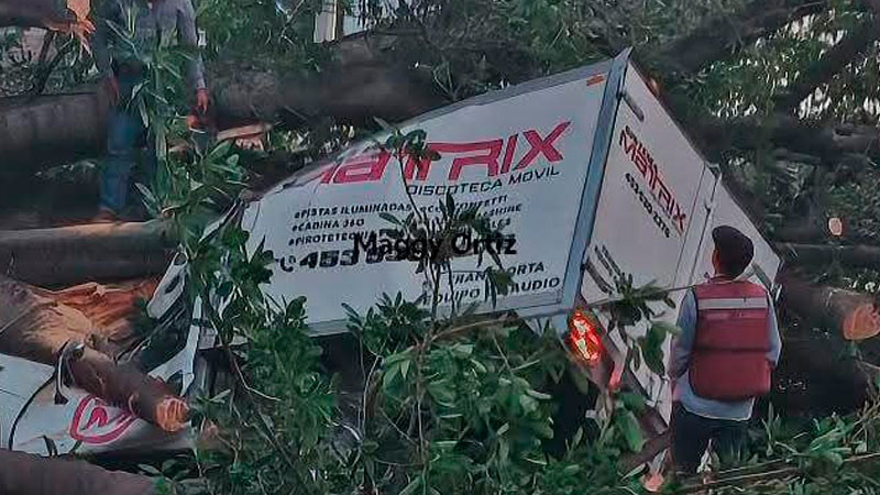 Cae árbol de grandes dimensiones en Apatzingán, Michoacán; daña tres vehículos 