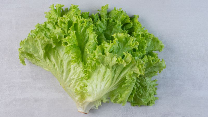FDA descarta presencia de parásito en lechuga mexicana tras revisar pruebas 
