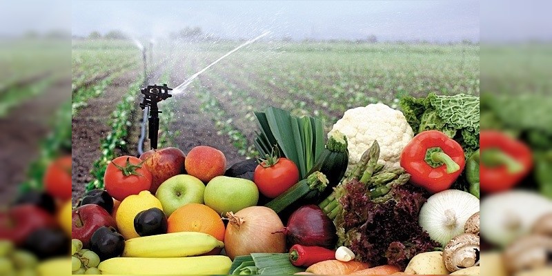 Productos de calidad del campo michoacano, a la Kermés del DIF: Sedrua 
