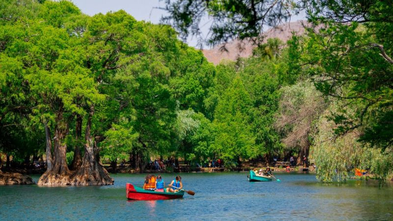 Este verano, Zamora recibe a visitantes con arquitectura, gastronomía y naturaleza 