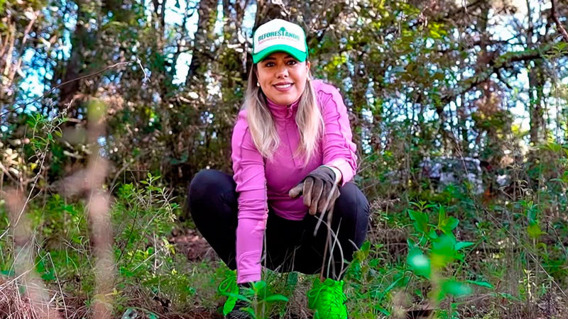 Dayana Pérez encabeza jornada de reforestación con la siembra de 6 mil árboles en Zirahuén 