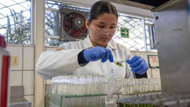 Proyectos Nicolaitas son aprobados en la Convocatoria Nacional de Investigación Científica y Humanística 