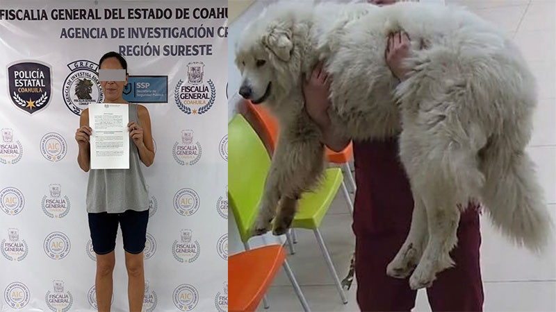 Vinculan a proceso a mujer por maltrato animal tras fallecimiento de "Rocky" en Saltillo, Coahuila 