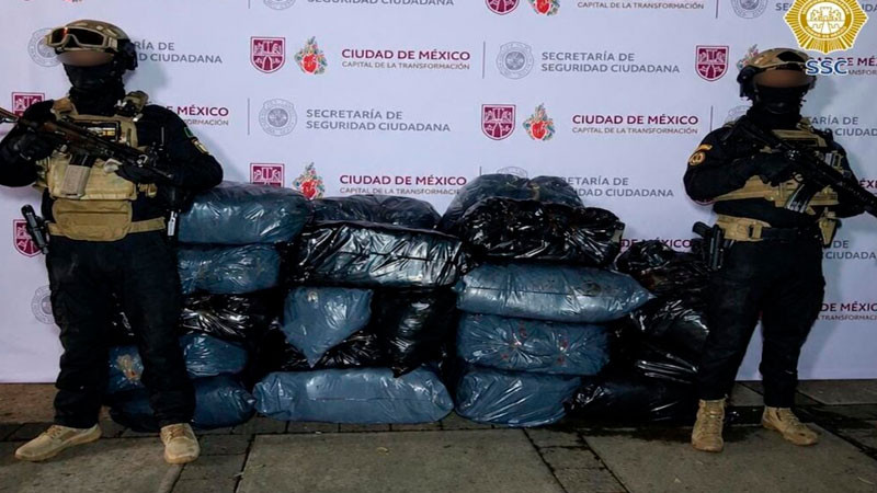 Decomisan 500 kilos de hierba ilegal en CDMX 