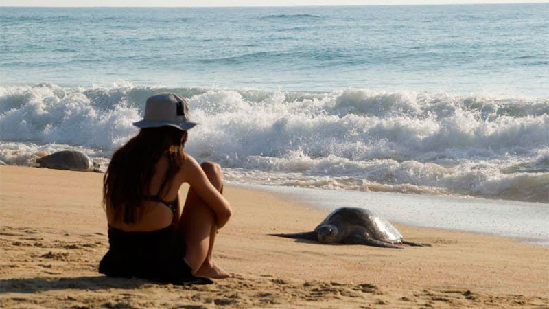 Las playas de Michoacán te esperan para una escapada inolvidable este verano 