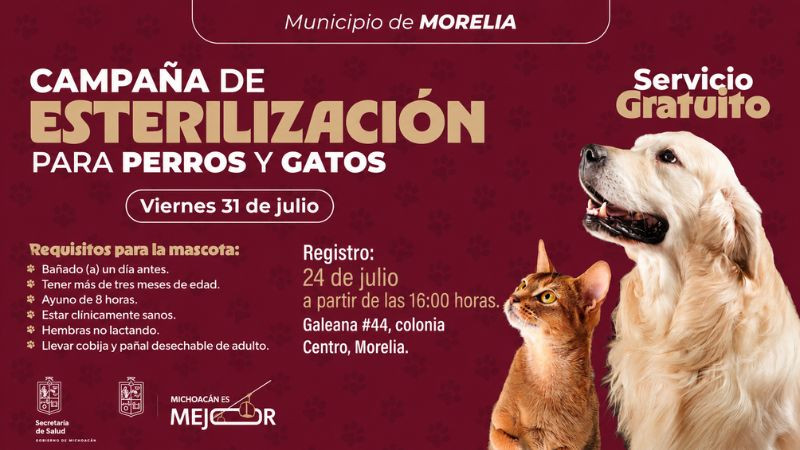 Abren registro para jornada gratuita de esterilización de perros y gatos en Morelia 