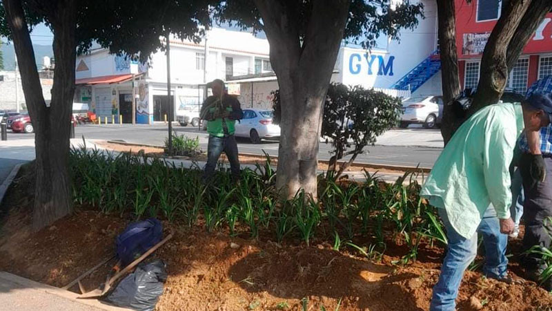 Gobierno de Morelia intensifica labores de limpieza de áreas verdes en distintos puntos de la ciudad 