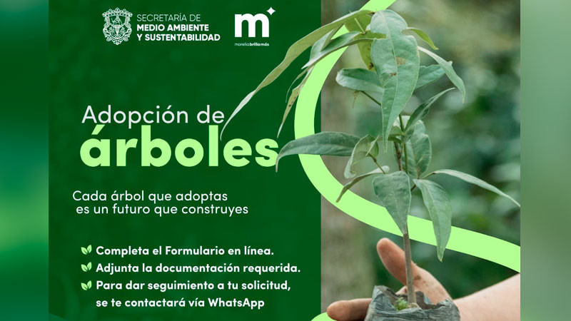 Gobierno de Morelia refuerza la reforestación urbana con “Adopta un Árbol” 