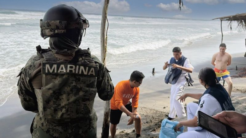 Autoridades resguardan 39 huevos de tortuga marina en Playa Azul, Michoacán 