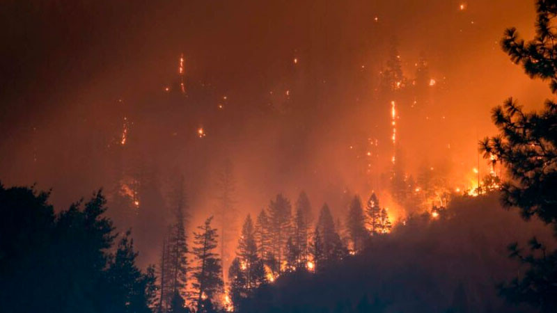 México envía a Canadá a más de 100 efectivos para combatir incendios forestales 
