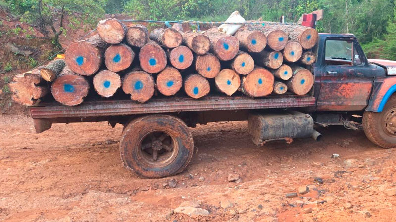 En Morelia, Michoacán aseguran camión cargado de 6.1 metros cúbicos de madera de pino 
