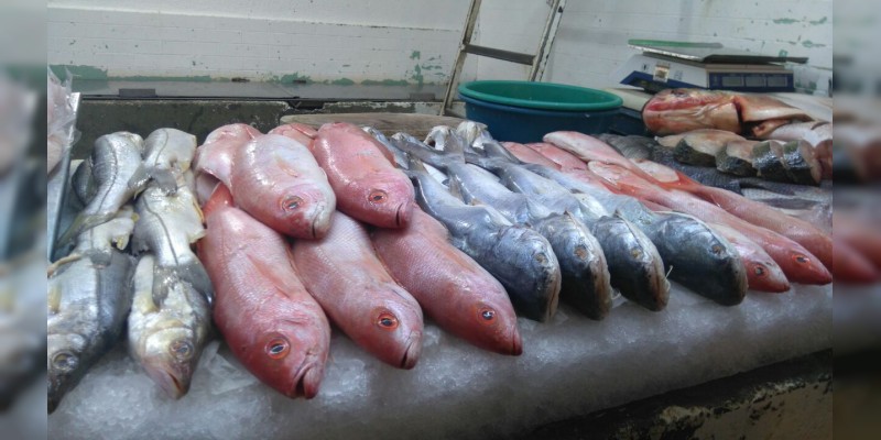 Personal de la SSM inspeccionará establecimientos de pescados y mariscos  