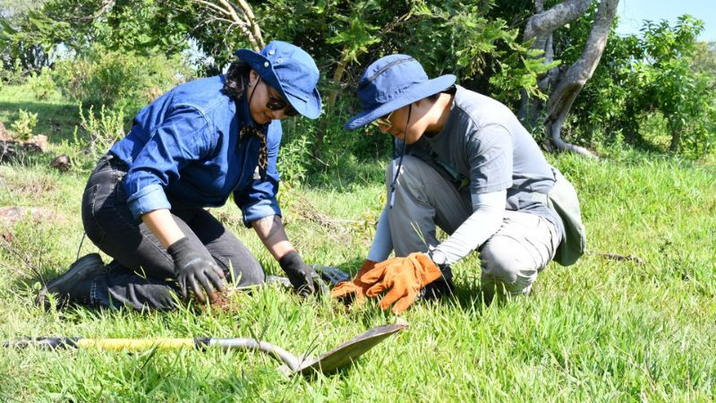 Gobierno de Morelia lleva jornada de reforestación a Tiripetío 