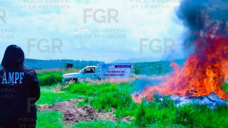 Autoridades destruyen más de mil objetos del delito decomisados en Michoacán 