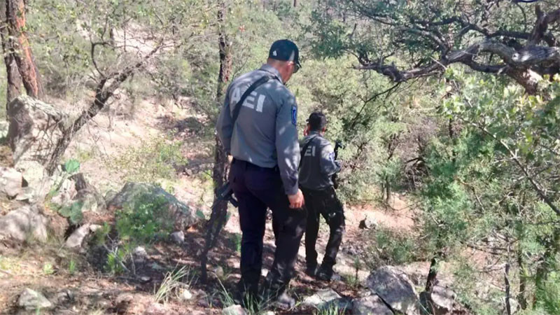 Fiscalía de Chihuahua reanuda búsqueda en “El Willy”; operativo concluye sin nuevos hallazgos 