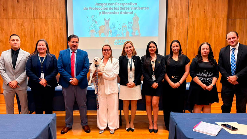 Impulsa Poder Judicial de Michoacán reflexión sobre la protección de los seres sintientes y el bienestar animal 