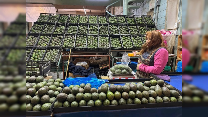 Reactivan los envíos de aguacate a EEUU tras días de freno en Michoacán: 9 mil toneladas camino a la frontera  
