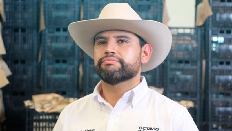 Celebra Octavio Ocampo reactivación de exportaciones de aguacate; pero pide garantías permanentes para productores 
